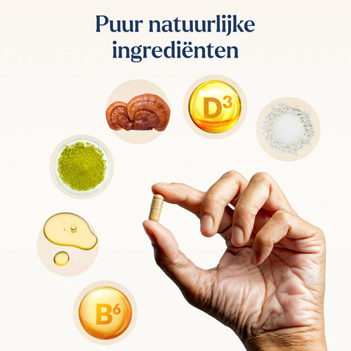 Nacht Capsule & Sleep Support Bundle